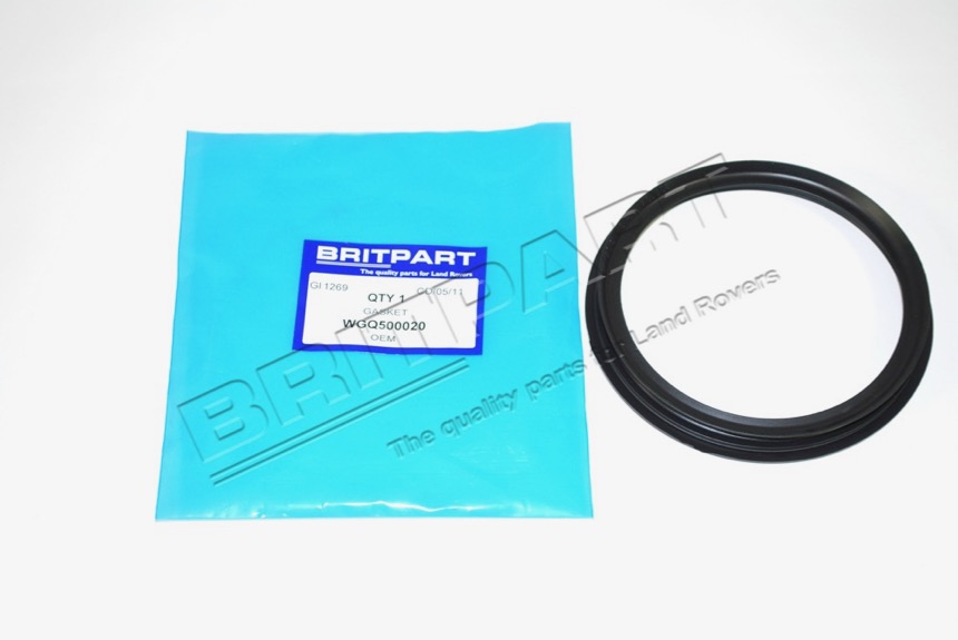 WGQ500020 Dichtung