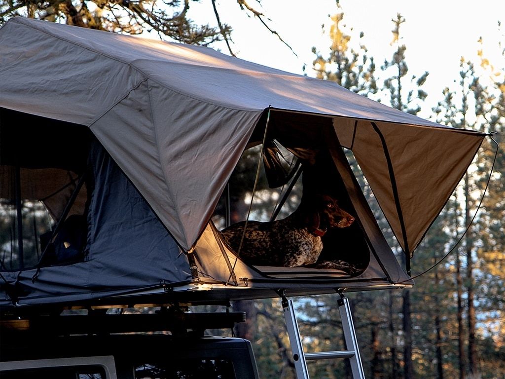 tent031-4_2